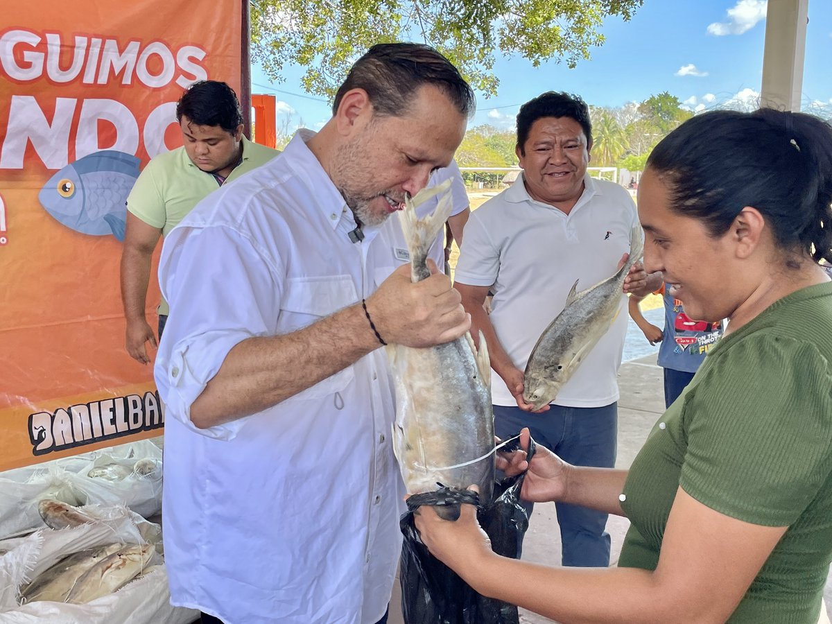 DANIEL BARREDA tweet media