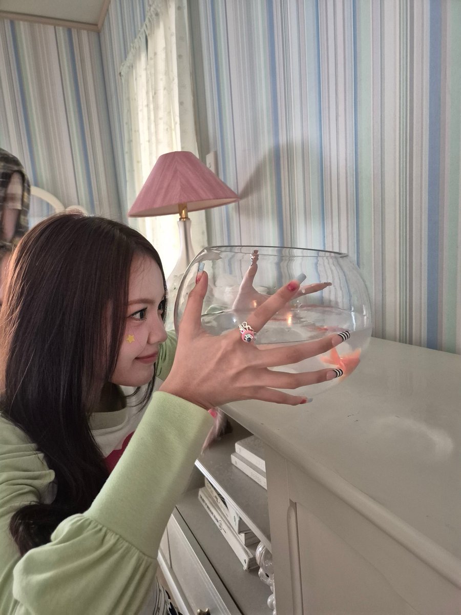 Good meowing, sudahkah kalian memberikan makan ikan kalian?