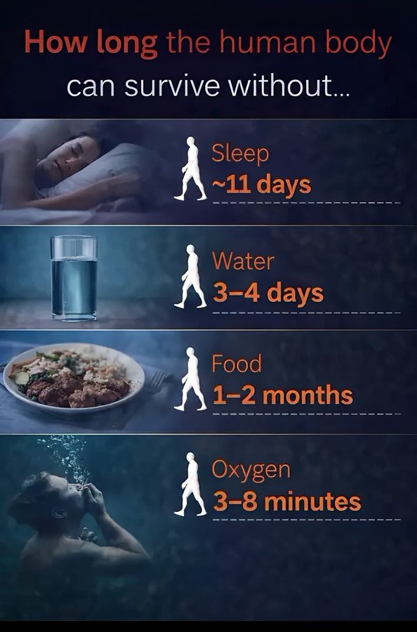 How Long Can You Go Without the Essentials?