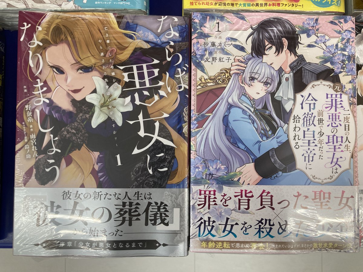 二度目の人生、(元)罪悪の聖女は前世で少年だった冷徹皇帝に拾われる