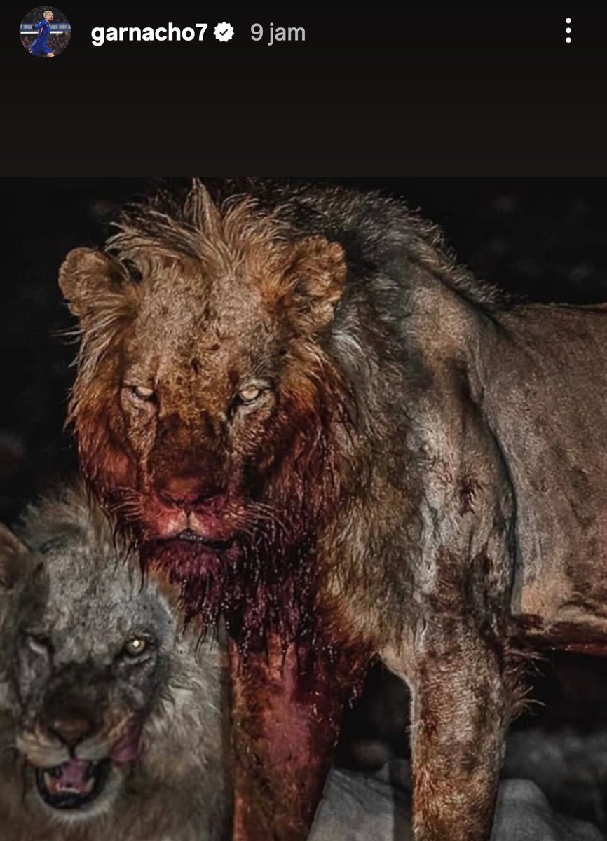 Extra Time Indonesia tweet media