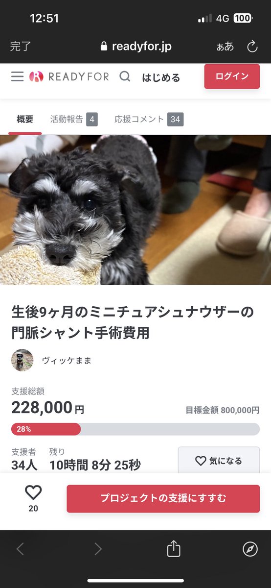 🚨 #拡散希望🚨 #ご協力お願い致します 
🆘門脈シャントと闘っているヴィッケちゃん‼️
🆘11ヶ月の女の子です‼️
🆘クラファン挑戦中‼️
🆘残り1️⃣0️⃣時間となり大変厳しい状況です‼️
readyfor.jp/projects/167721 
🆘どうかヴィッケちゃんにお力をお貸し頂けないでしょうか🙇‍♀️
🆘何卒宜しくお願い致します🙇‍♀️🙇‍♂️