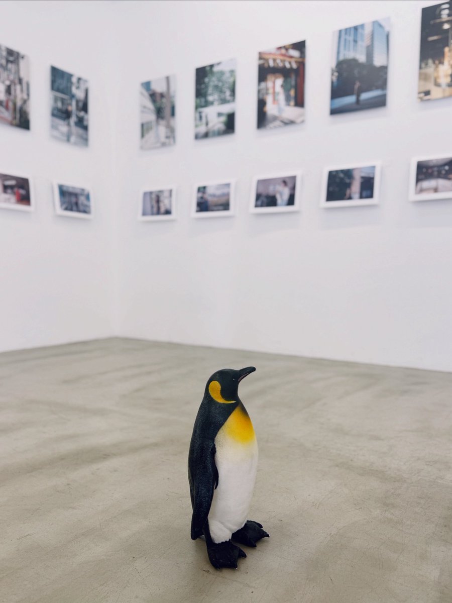 yukaihands's tweet photo. キョジン中嶌 写真展
「虚塵-kyojin-」

本日はトークイベントがございます！

＿＿＿＿＿

★トークイベント★
2月28日(土) 15:00～16:00(予約不要)
キョジン中嶌 × 青山裕企

＿＿＿＿＿

会期：2月20日(金)-3月1日(日)
開廊時間：13:00-19:00
入場料：無料
会場：ユカイハンズギャラリー

#個展虚塵 https://t.co/fkT9SRosYY