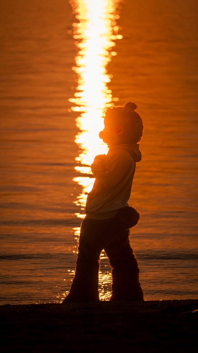 墨非 Mouffy&Murmur tweet media