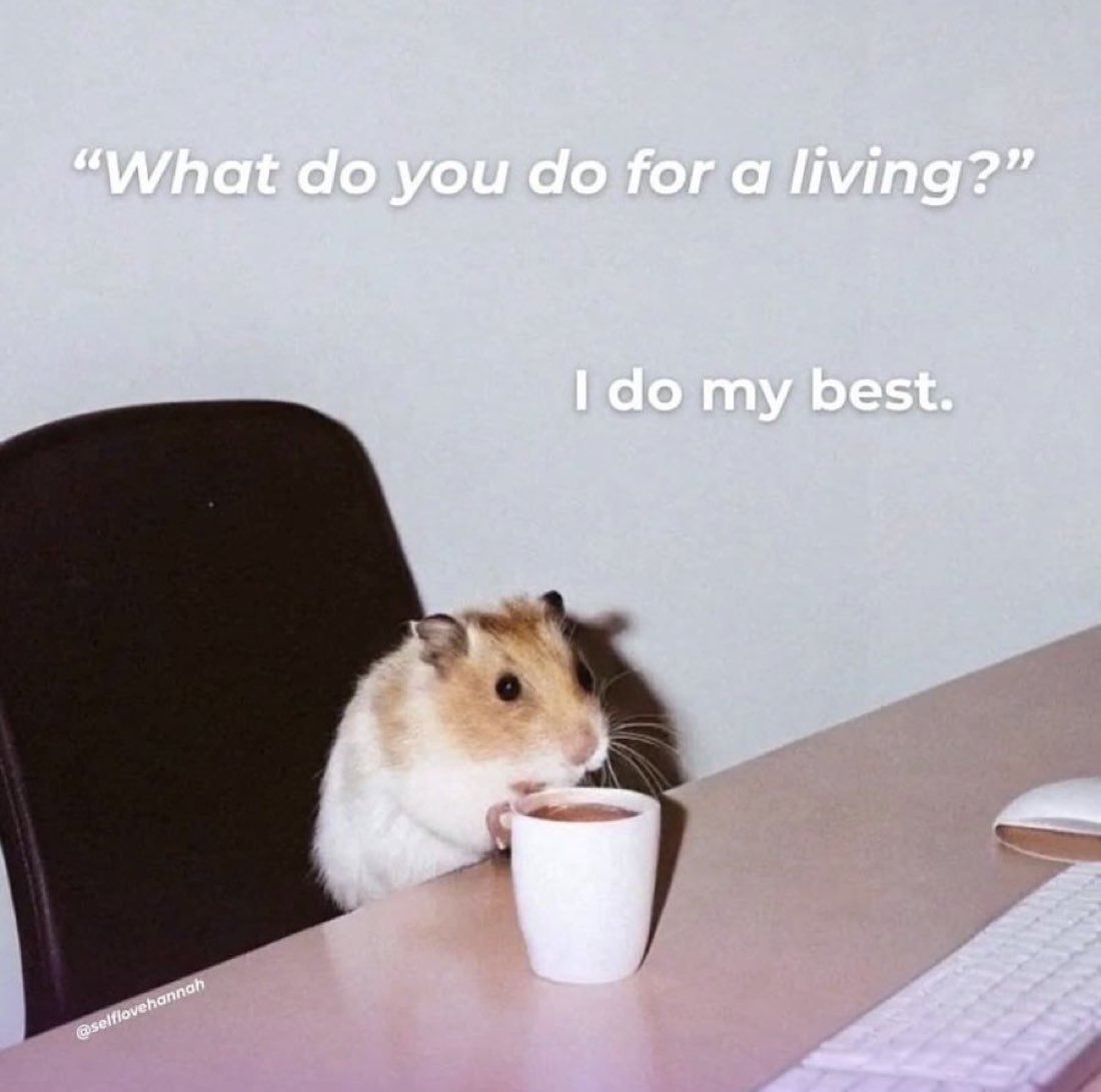 introvert memes (@introvertsmemes) on Twitter photo 