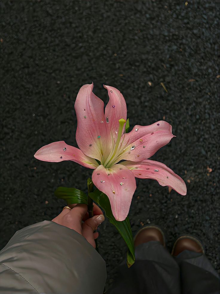 Flowerland (@flloverland) on Twitter photo 