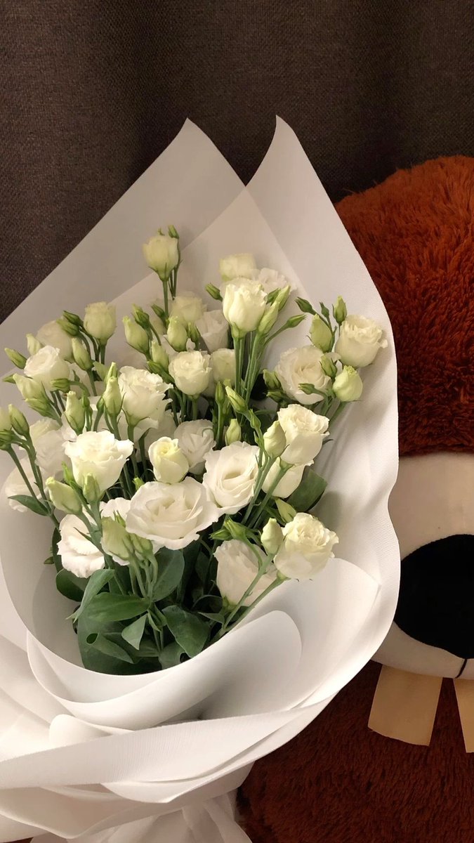 ❀ (@i3moment) on Twitter photo 