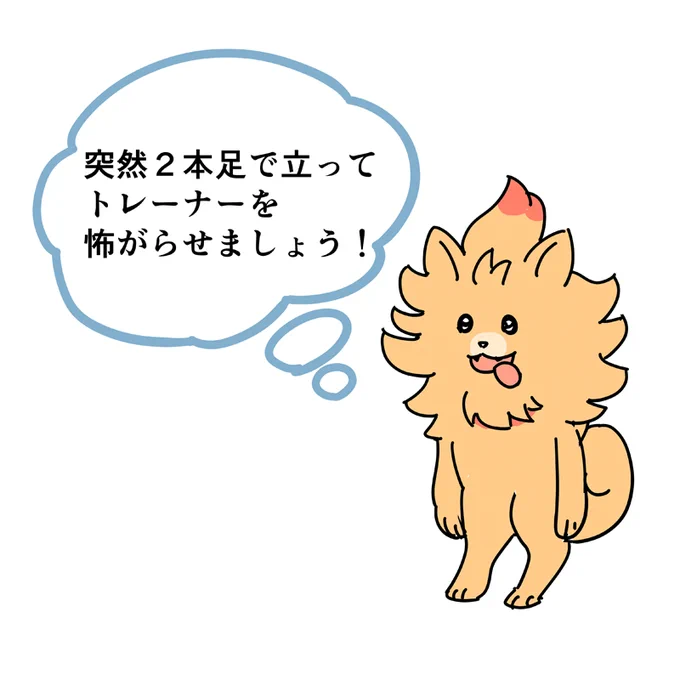 ポムケン立つな 