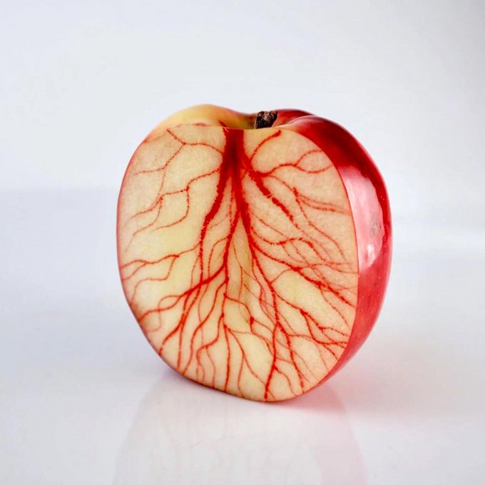 web.jpg (@webjpg) on Twitter photo 