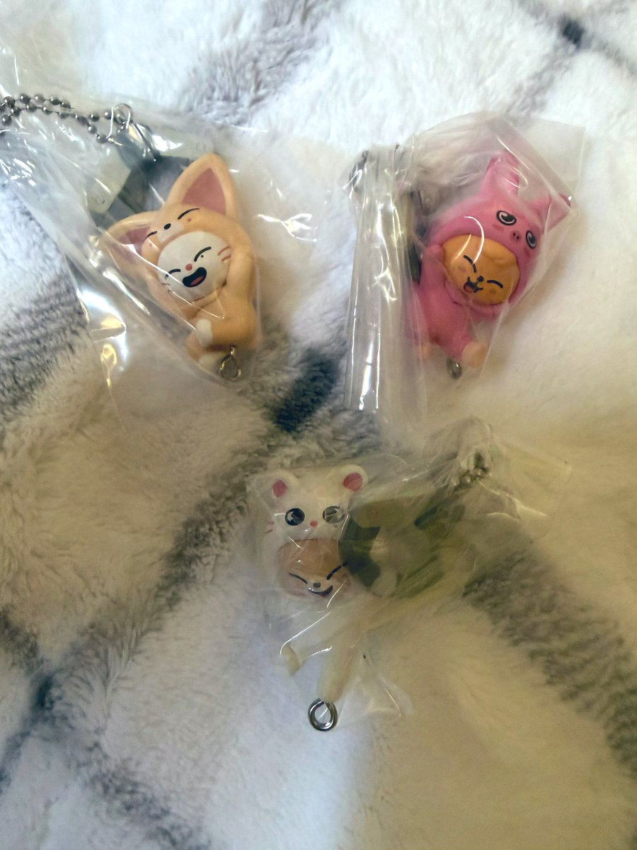 あゆむ tweet media