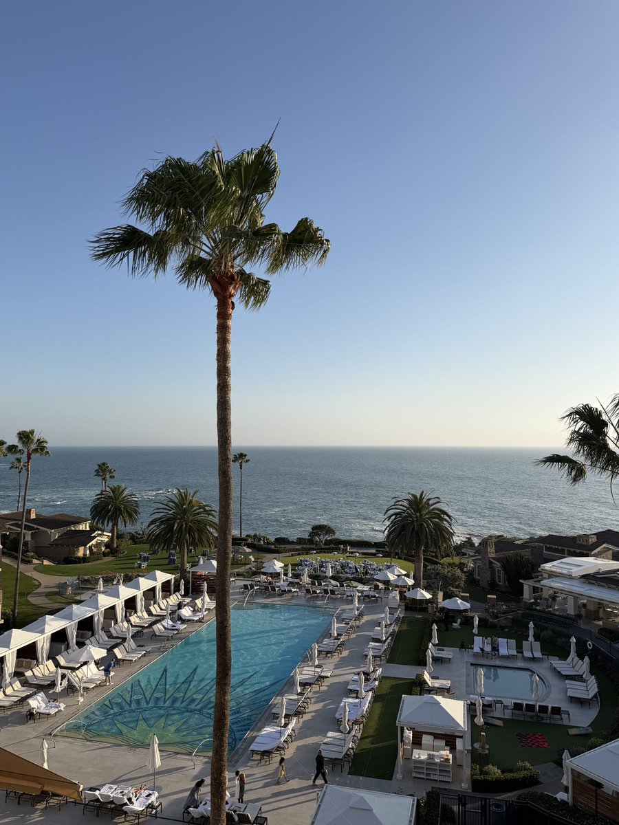 Michael Borth tweet media