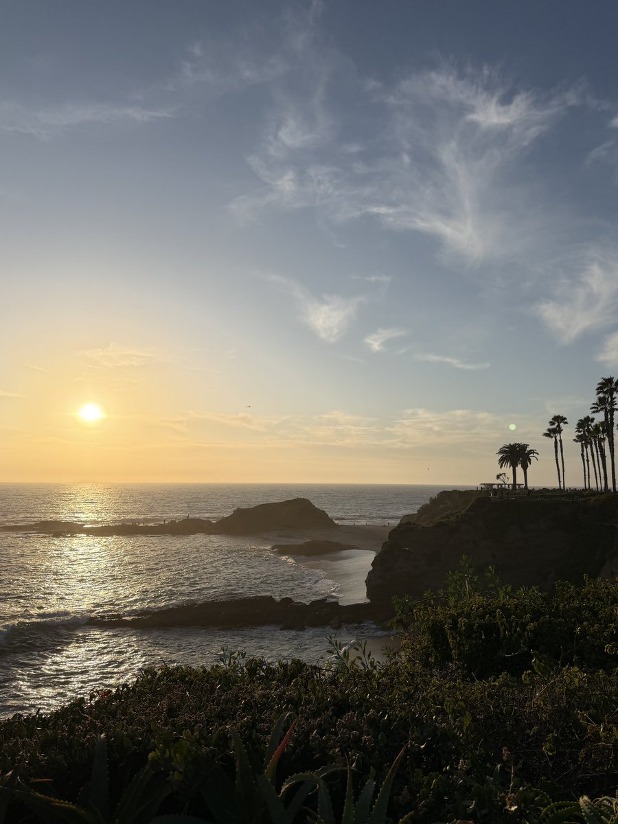 Michael Borth tweet media