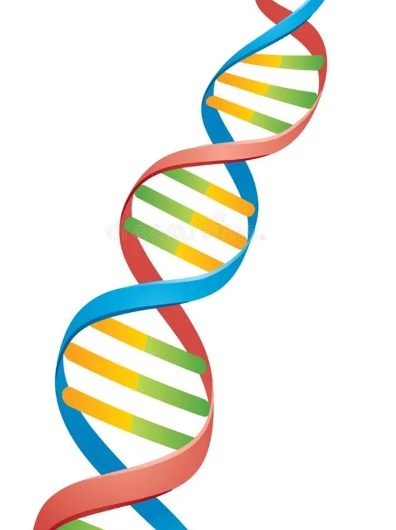 On this day in 1953 at The Eagle in Cambridge, Watson &amp; Crick declared they’d found “the secret of life.”
The double helix. From a pub to posterity; proof that science sometimes declares history over a pint.