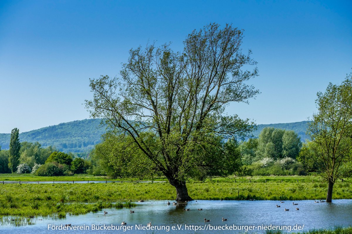 Bigtab e.V. tweet media