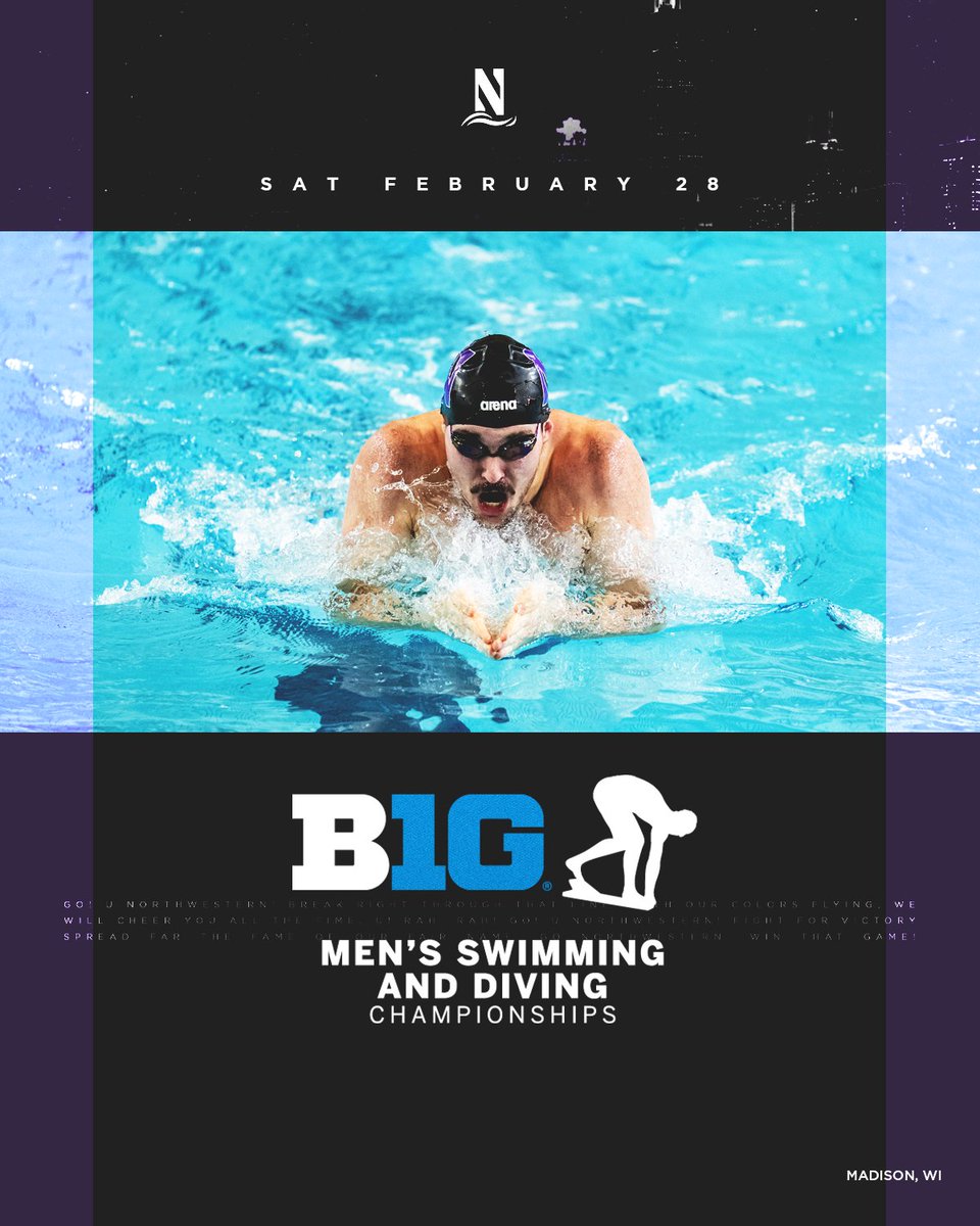 Northwestern Swimming & Diving tweet media