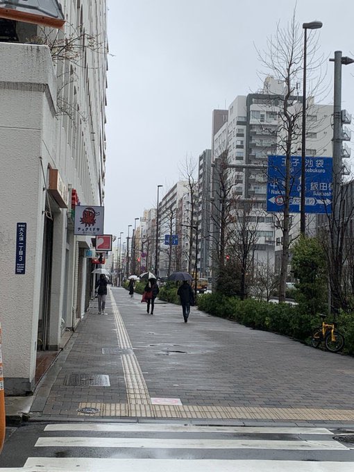 PLAYBILL_2025's tweet photo. 【⬆️会場案内⬆️1/2】
①副都心線・都営大江戸線
東新宿駅B1出口を出て左に進んでください
②まっすぐ！
③まっすぐ！横断歩道を渡ります
④まっすぐ！！ https://t.co/GBxUDZi2mz