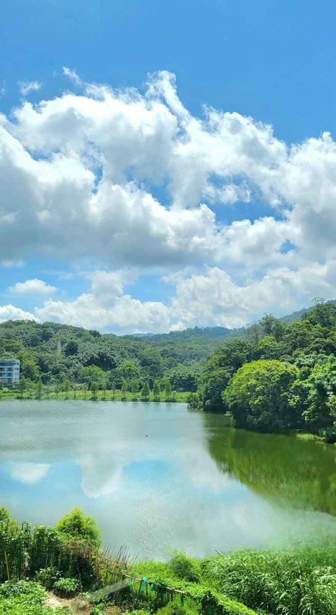 不看不知道，一看嚇一跳。😂
整個2022年，是我旅遊次數最多的年度，主要是疫情期間遊客少，價格相對便宜 很多。
今天介紹 很用心的民宿 位於苗栗西湖鄉的水漾西湖，老闆是國小校長退休的，品味不錯。