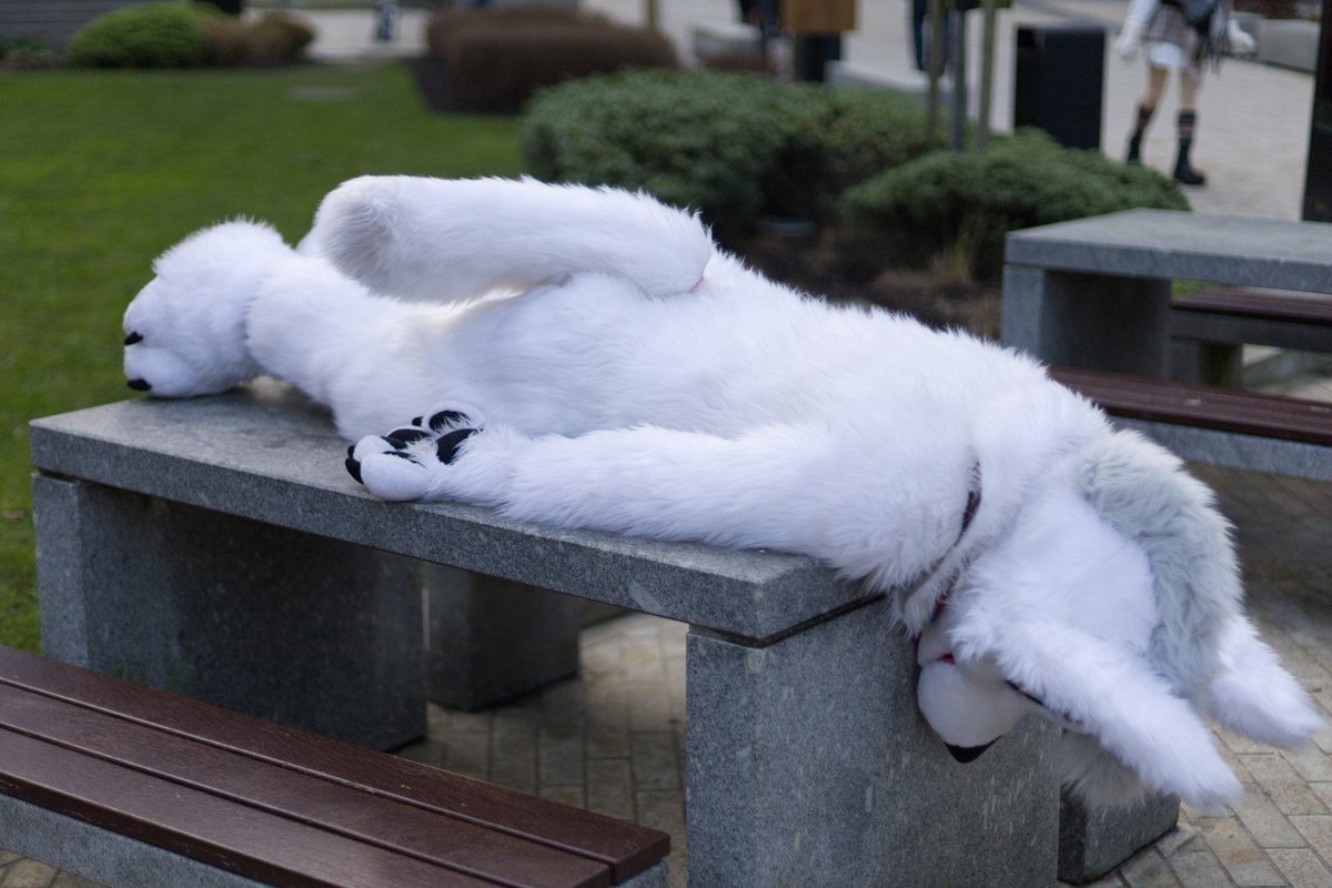 Double 🔜 CFZ26, EF30 tweet media