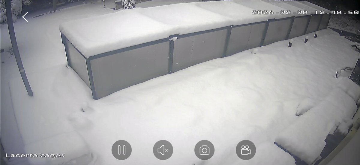 Aaron Jousiffe tweet media