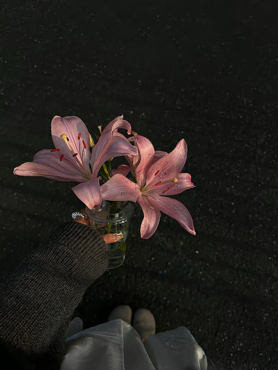 Flowers (@flowers489) on Twitter photo 