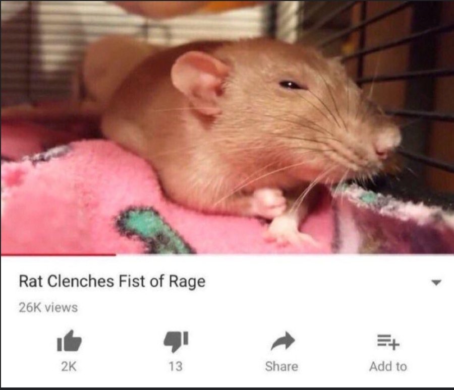 • Jare • tweet media