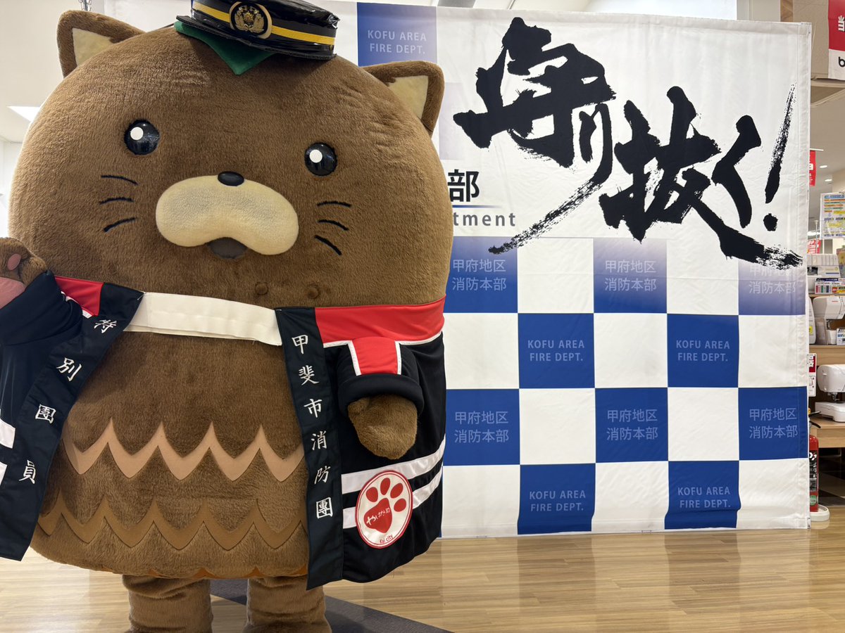 やはたいぬ tweet media