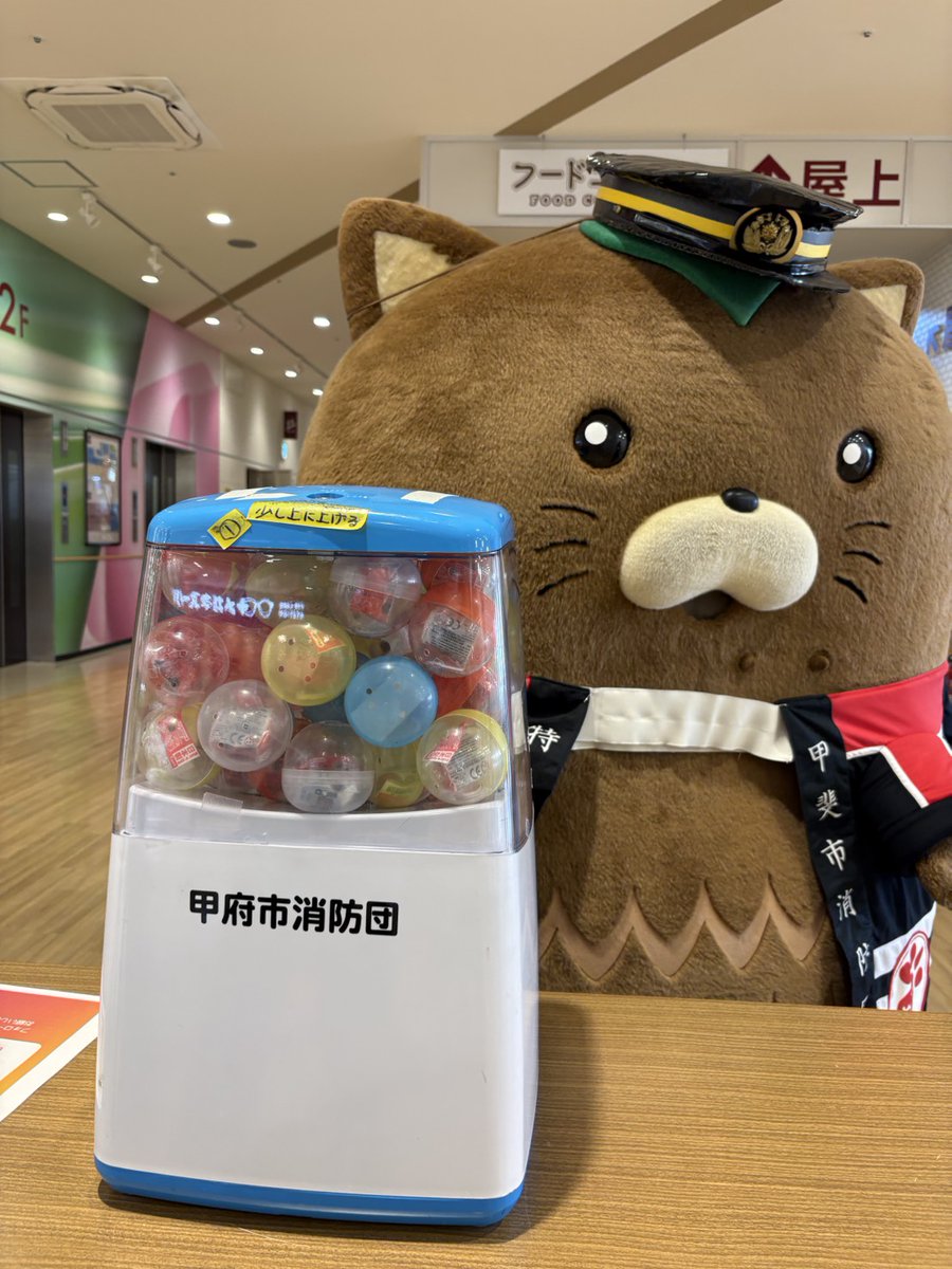 やはたいぬ tweet media