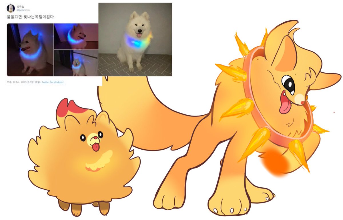 이마프 tweet media