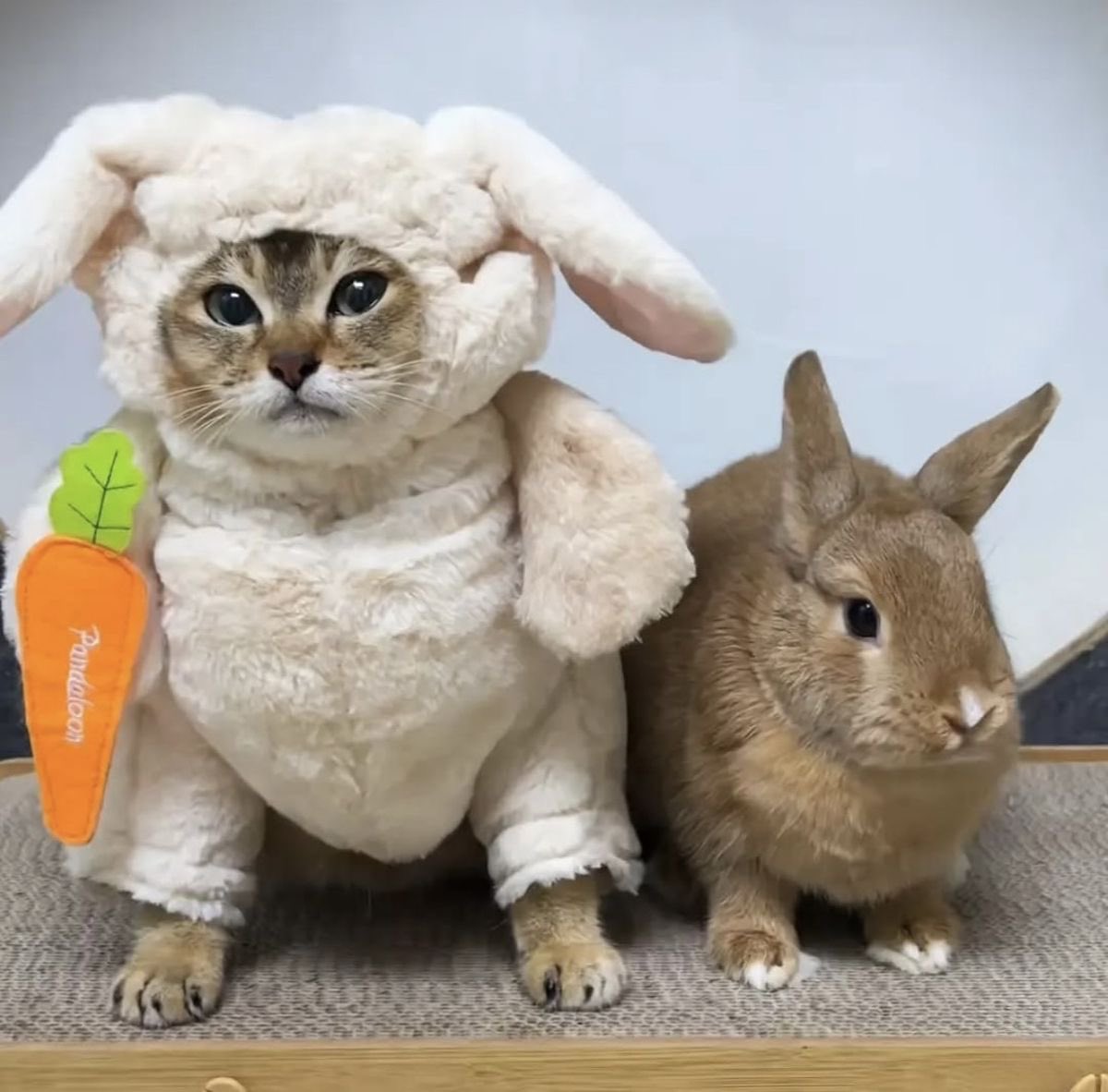 it's always easy to spot a larper