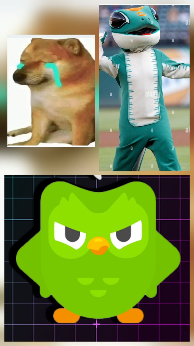 El Gafe🪐🐾 tweet media