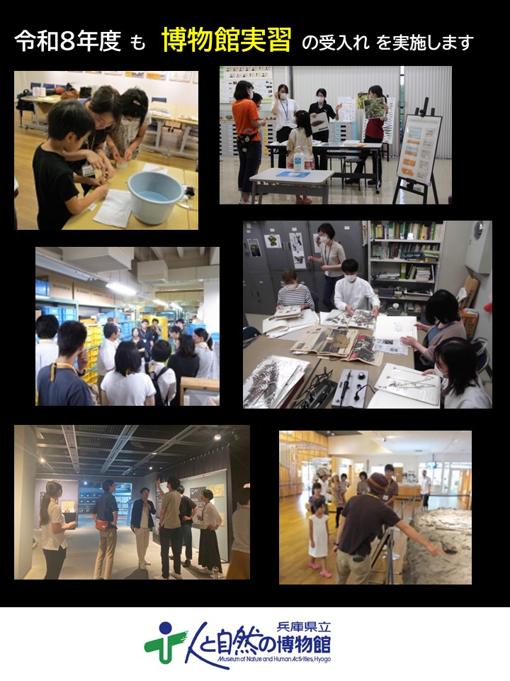 兵庫県立人と自然の博物館 tweet media