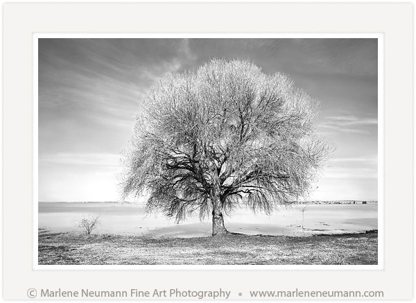 Marlene Neumann tweet media
