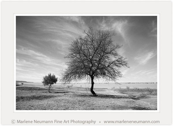 Marlene Neumann tweet media