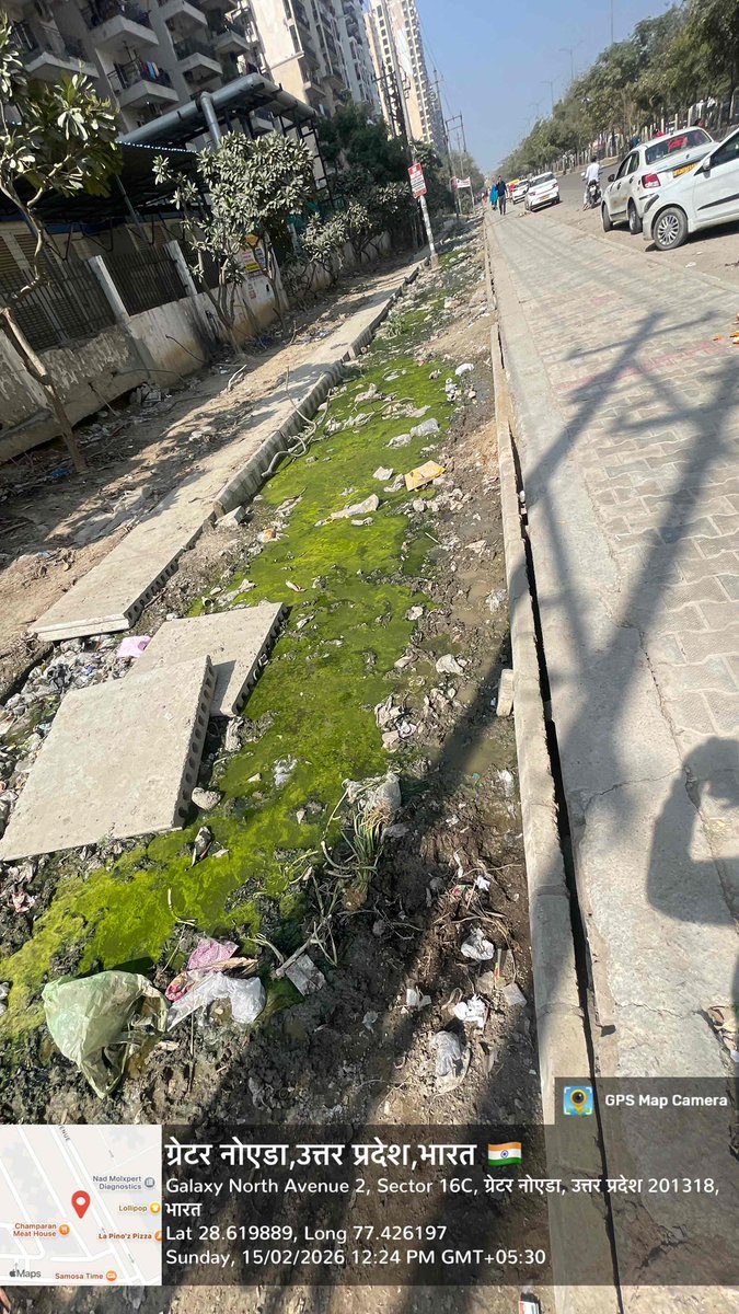 Bitul Yadav tweet media