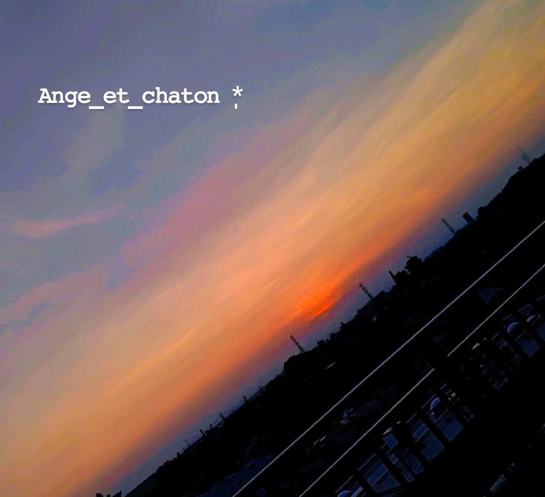 Ange_et_Chaton's tweet photo. *
#無言で夕刻のカッコいいと思う写真を載せる https://t.co/tiRQ3oOtMX