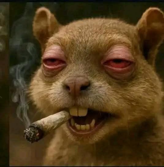 Nobody wake up fast pass those smokers 😹😹 especially those that take colos 😹😹