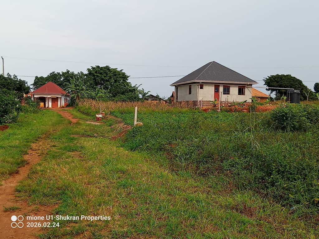 shukranproperty's tweet image. QUICK SALE ❗ 

PLOTS FOR SALE 

Located at Entebbe, Buwaya , Kasanje 

Plot Size: 50ft by 100ft

Selling  Price at #25m Ugx 

Private Mailo Land title

0706592177