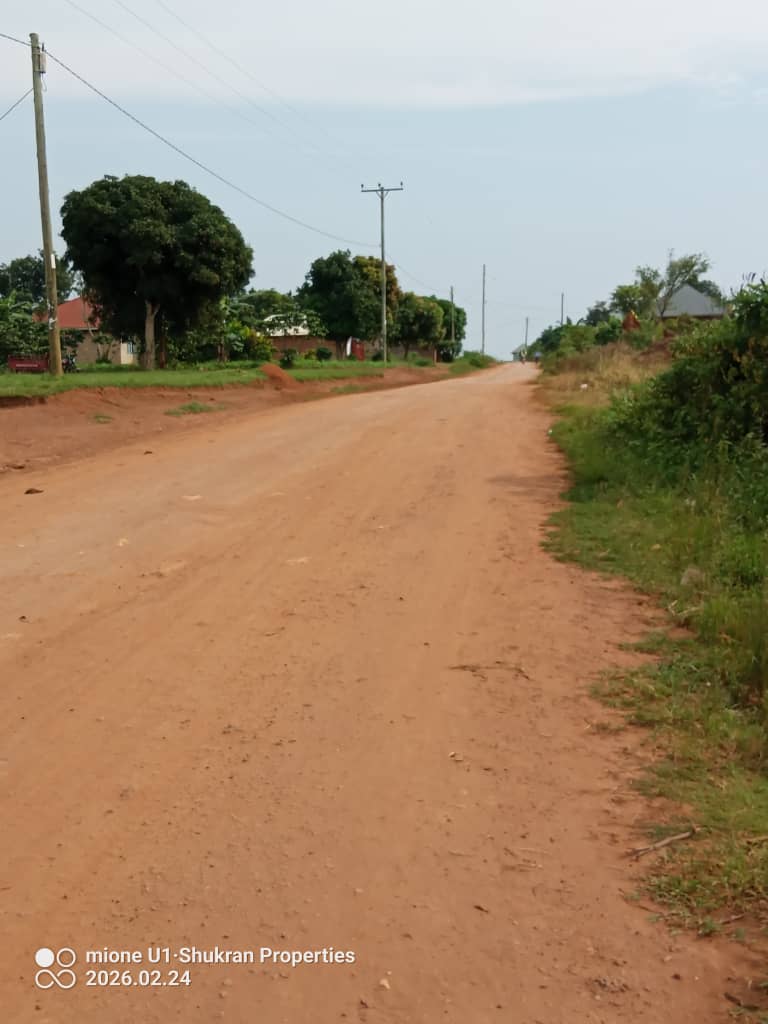 shukranproperty's tweet image. QUICK SALE ❗ 

PLOTS FOR SALE 

Located at Entebbe, Buwaya , Kasanje 

Plot Size: 50ft by 100ft

Selling  Price at #25m Ugx 

Private Mailo Land title

0706592177
