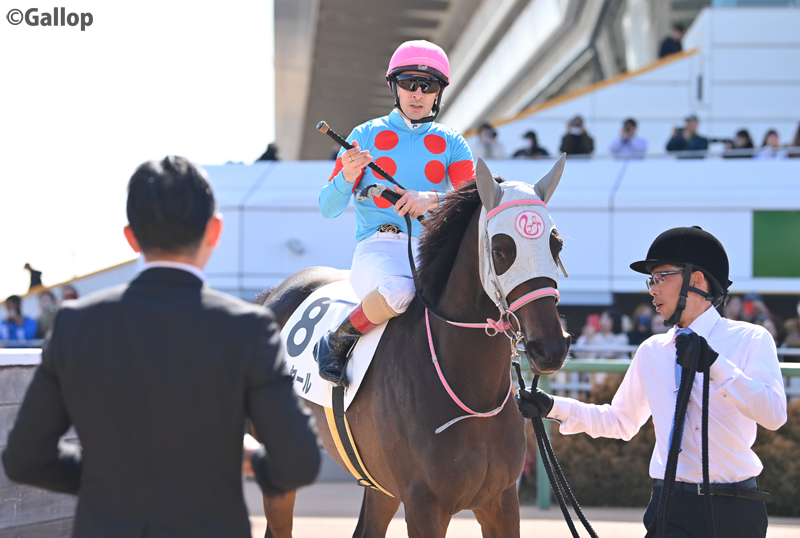 gallop_keiba's tweet photo. 中山6Rは1番人気 #フロレセール が勝利！ 単勝1.9倍の支持に応えました！ https://t.co/YsBktMD54q