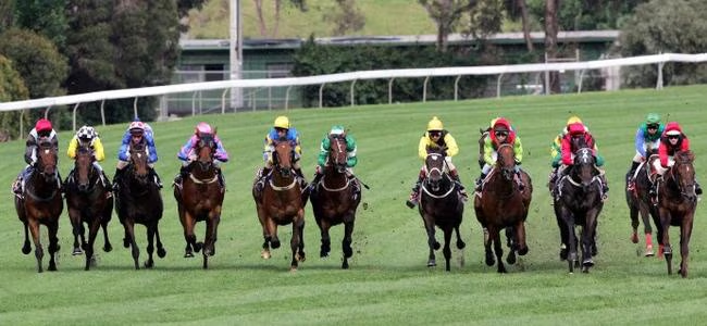 Clay_Sparkes's tweet photo. She will be remembered for her 3 Cup wins in a row, but the day she peeled out wide and circled them in the Cox Plate gave me absolute goosebumps watching. Sad way for her to go. May you Rest well Queen. Thoughts with everyone involved https://t.co/5a6qvL3xgw