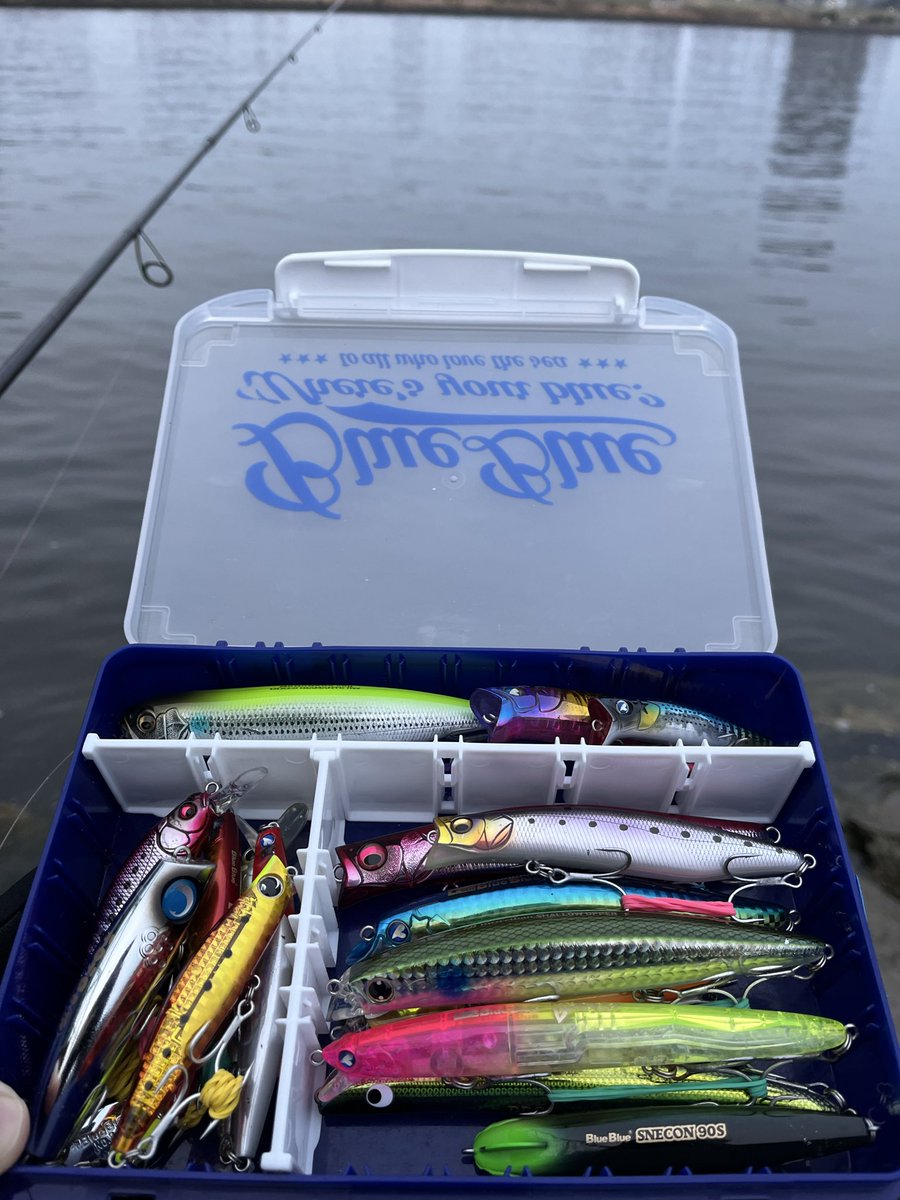 荒川シーバス！！新ロッド！！
ラテオ96ML/M
ルアーウェイト7-50
ティップが良い感じに曲がり、戻りも良い！
バイブ飛行姿勢安定して、全然エビらなかった！！
アマペン、ガルストあたり気持ちよく投げれれば一年中使えそう！
控えめに言って最高でした！！！
(無風だったからエビらなかっただけかも)