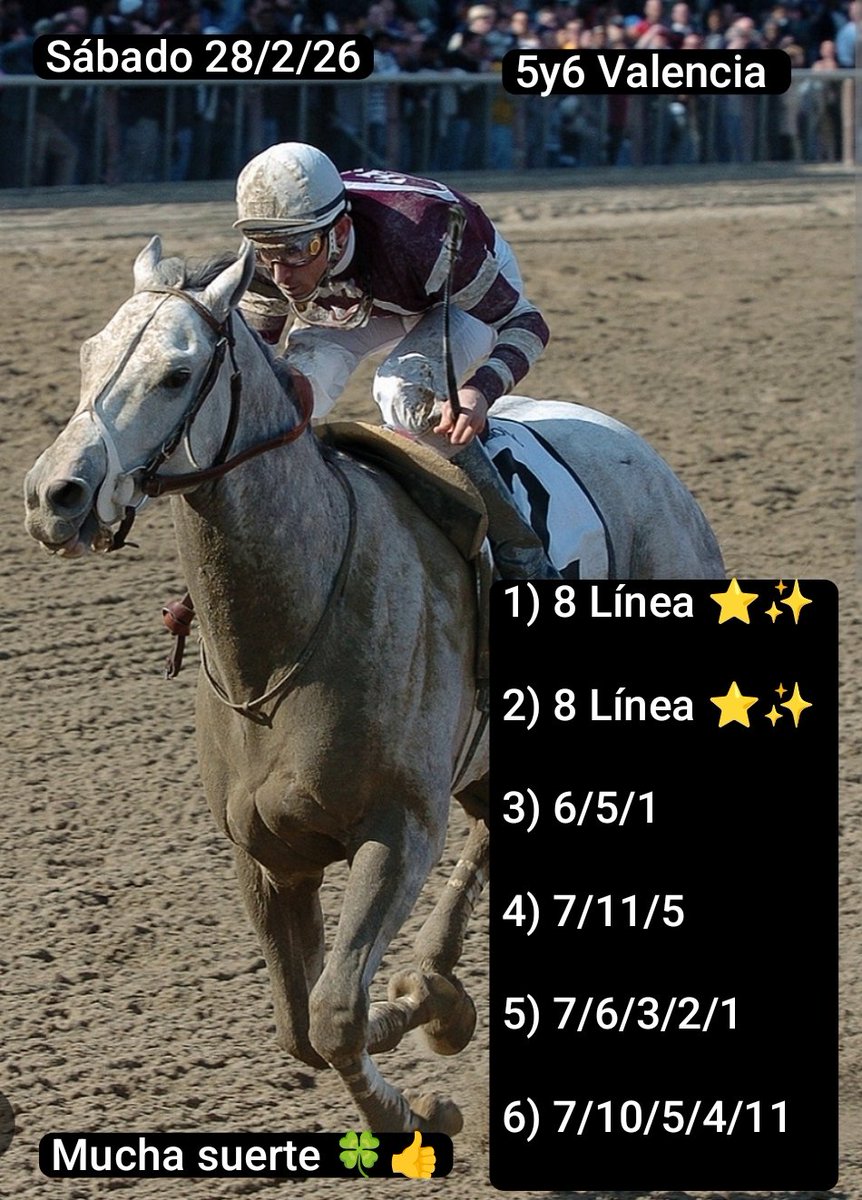 María Lucía Castucci de Bellardi tweet media