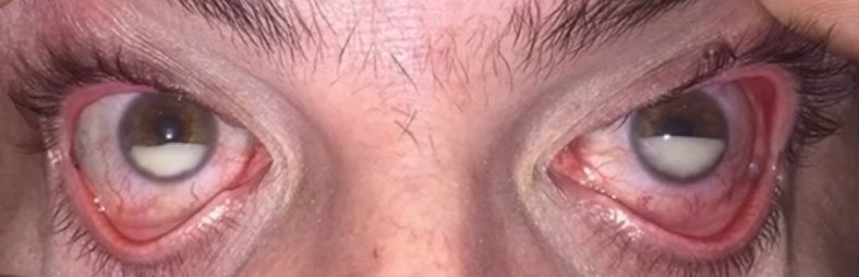 Dau⚕️ tweet media