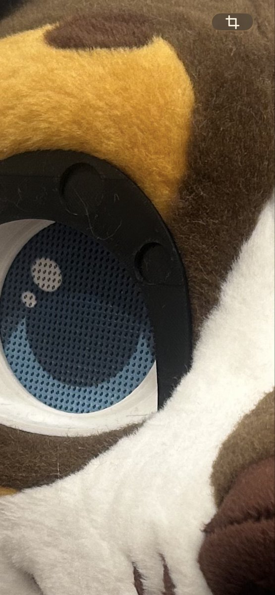 Scarlet Wings Fursuits tweet media