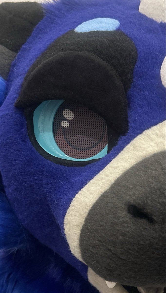 Scarlet Wings Fursuits tweet media