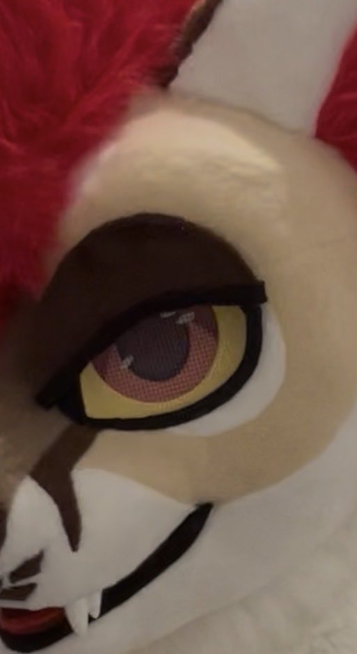 Scarlet Wings Fursuits tweet media