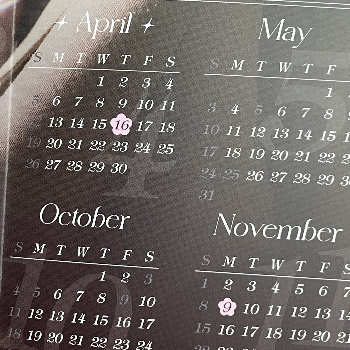 식구생일🌸
승식이생일🌸
데뷔일🌸