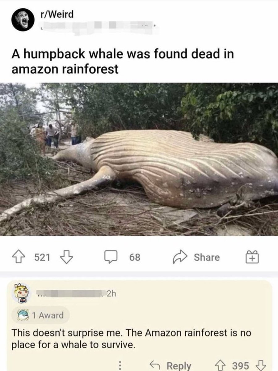 rare insults (@insultsraree) on Twitter photo 