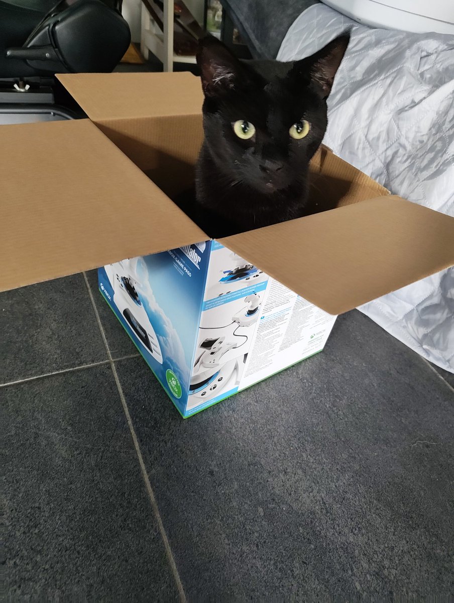 _Miss_Tris's tweet photo. If boxes are portals, Morpheus just found the ultimate one: Thrustmaster Flight Sim edition 🛸📦  
Green-eyed guardian judging my landing skills before takeoff 😂  
Ready to fly the Lunarverse? Or just nap in the clouds? 🐱💤  

#CatInABox #BlackCatMeme #MicrosoftFlightSim #MorpheusThePilot