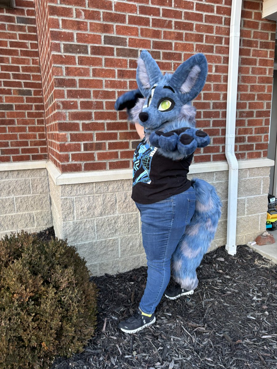 FlamingoFancyFursuits tweet media